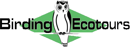 Birding Ecotours Log0